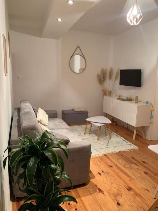 Le Petit Cocon Nimois Apartment Nimes Bagian luar foto